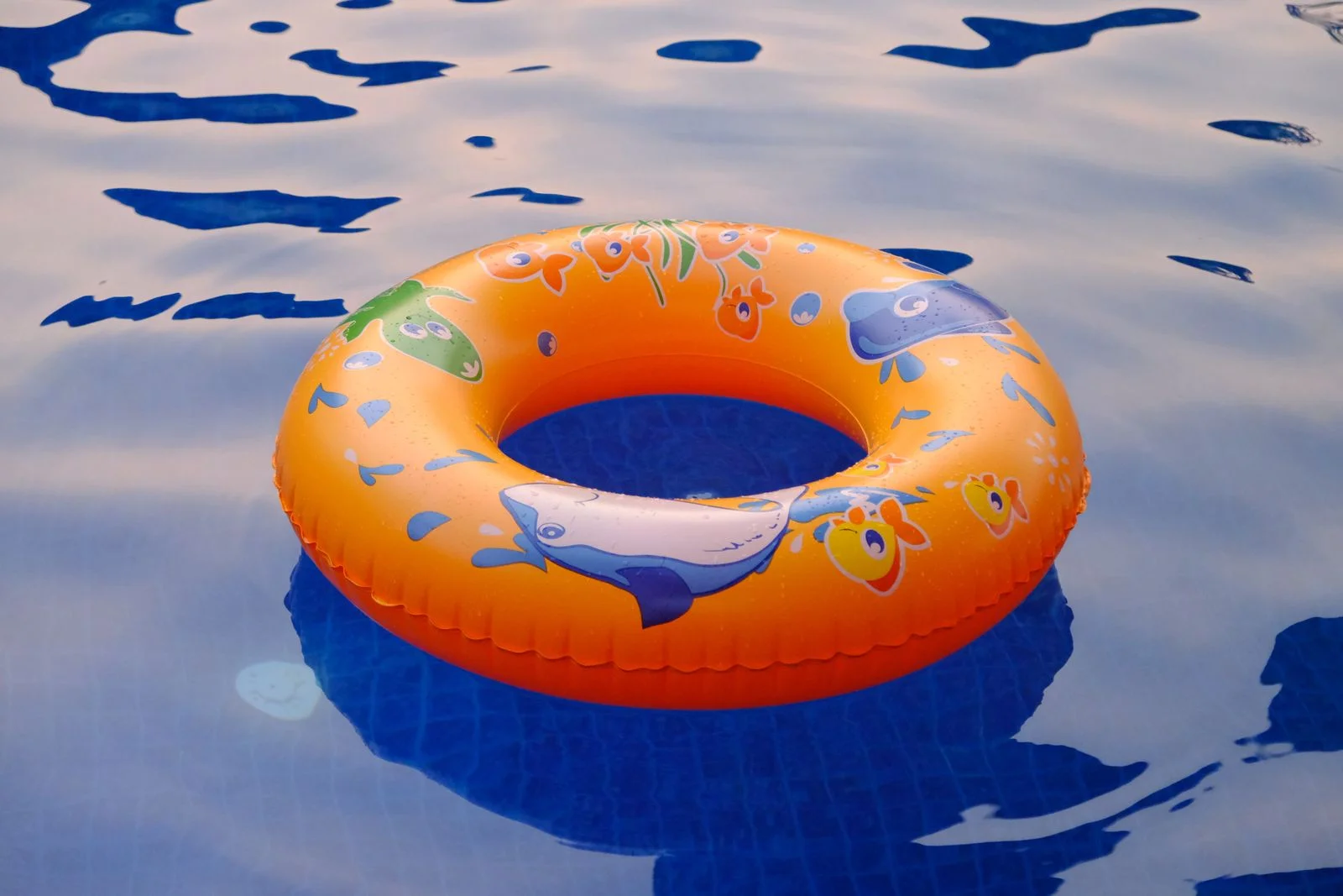Shallow end of the pool