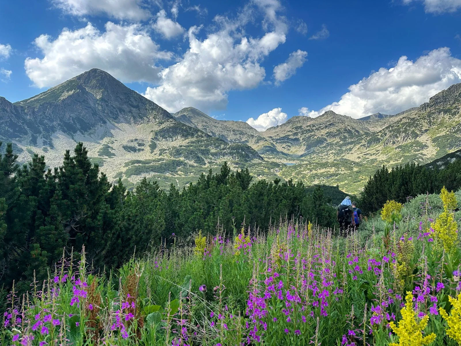 On the trail to the peak