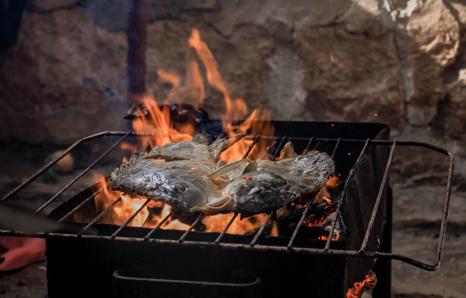 Trout over embers